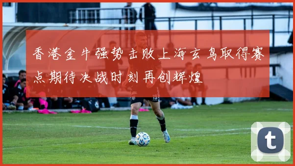 香港金牛强势击败上海玄鸟取得赛点期待决战时刻再创辉煌
