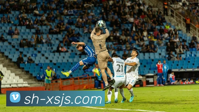 多媒体互动体验